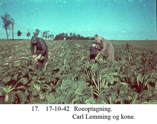 Roeoptagning af Carl Lemming og kone - 1942